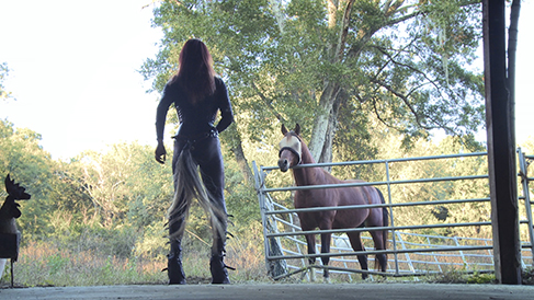 images/manifestation/1_Etre_Cheval_Jerome_Clement_Wilzi_2015.jpg