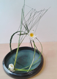 images/manifestation/ikebana_web.jpg